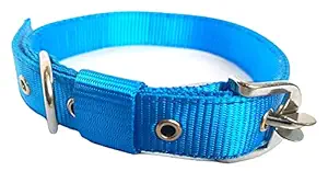 SSM PET MART Dog Soft Nylon Collar Adjustable 4 Stapes Every Day Use 1 inch Pet Collar Strong Chrome Bukkle (Blue)