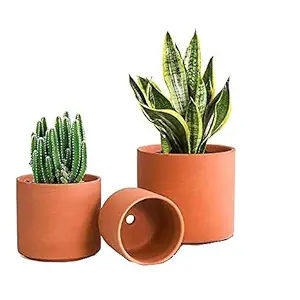 Clay Cylinder Planter Terracotta Finished Planet