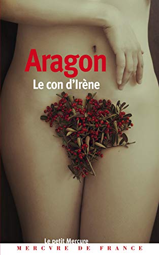 Télécharger Le Con d'Irène Gratuit