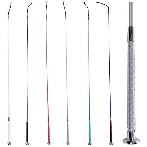 Red Horse Sweep Whip With Patent Handle And Silver Button Leading Equipment