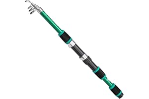 GDFNMOGO Telescopic Fishing Rods, Portable Travel Fishing Rod, Ultralight Telescopic Fishing Rod, 8M Portable Telescopic Sea Pole Fishing Rod(green)
