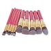 Generic 10PCS Pro Makeup Cosmetic Eyeshadow Brow Face Contour Foundation Lip Brushes RS.425.00