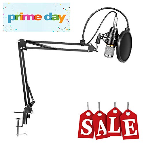 LYPULIGHT Micrófonos de Condensador Profesional Kit de Radio para Grabación de Estudio con Soporte de Micrófono de Grabación Ajustable Brazo con Soporte Antichoque y Kit de Abrazadera