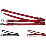 Hundeleine aus Premium-Nylon verstellbar in 4 Längen (1,0 m - 2,0 m) verschiedene Farben und Groessen S, M, L: Doppelleine, Fuehrleine, stark, stabil, bequem, weich, farbig, fuer grosse und kleine Hunde (Halsband und Geschirr separat erhaeltlich) (Farbe Rot, Größe S - 1,5 x 200 cm)