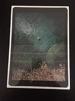 Apple iPad Pro 12.9 "64Go Wi-Fi Espace Gris (2017)