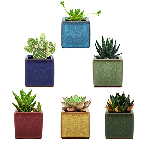 Lewondr Ceramic Succulent Planter Pots, [6 Pack] 2.5 Inch Square Design Ice Crack Serial Flower Pot Bonsai Plant Pots Planter Container Set for Home Office Desk Shelf Window Décor - Colorful