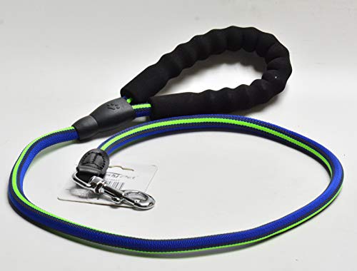 Preisvergleich Produktbild Hundeleine blau grün 120 cm Länge