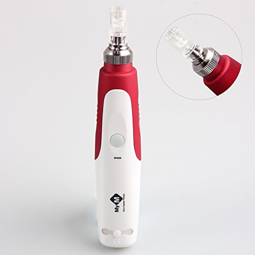 Denshine Personal Professional Portable Beauty Skin Care Auto Electric Derma Pen Beauty Micro Needle Skin Therapy Salon & Home UK Plug BS