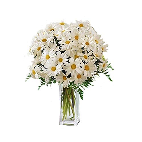 CRISANTEMOS Naturales Blancos. Flores A Domicilio + Añade tu Nota Personalizada.