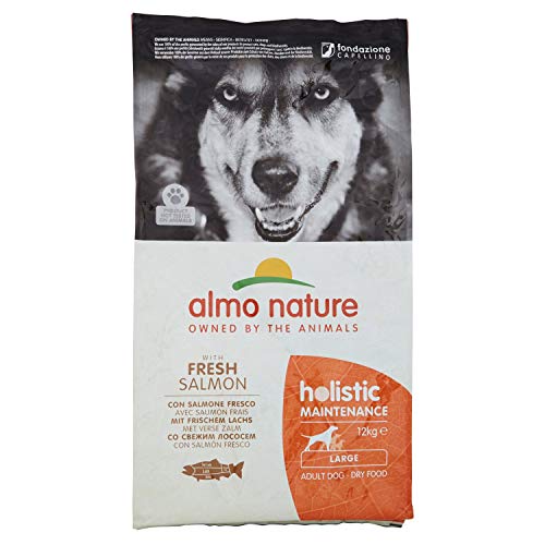 almo nature Holistic Maintenance Large con Salmone Fresco - crocchette Premium per Cani Adulti con Pesce Fresco - specifico per Cani di Taglia Large - No OGM - Sacco 12kg