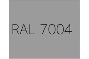 MASTER INDUSTRIA PER L'EDILIZIA Resina Epossidica Satinata per Piastrelle e Superfici Facile Applicazione 12 MQ (Epofix Coat) (RAL7004, 1 Kg)