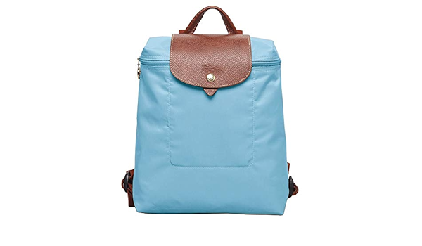 longchamp le pliage arctic
