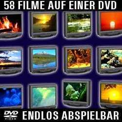 KAMINFEUER AQUARIUM UND VIEL MEHR 58 STIMMUNG UND RAUMDEKO AUF KNOPFDRUCK - 4