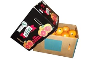 LIEFERFRUCHT Grapefruit aus Florida / USA oder Mexiko oder Südafrika, süßlich, saftig und sehr aromatisch. 16 kg Karton