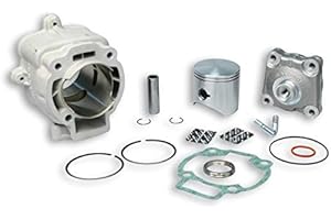 MALOSSI SPA KIT CILINDRO GRUPPO TERMICO MALOSSI Ø65 RUNNER FXR 180 2T H20-HEXAGON 2T