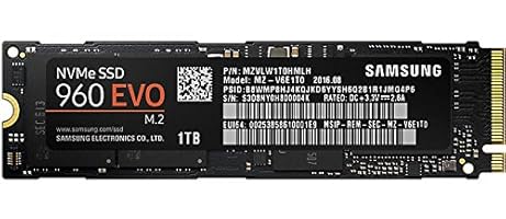 Samsung 960 EVO MZ-V6E1T0BW Interne Solid State Drive (1TB)