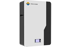 WADA POWER Batteria LiFePO4 Solare Fotovoltaico da 51,2V 200Ah, Batteria Accumulo Ricaricabile, Batteria Solare con BMS Integrato per Sistema Solare Fotovoltaico RV (10,24KWh)
