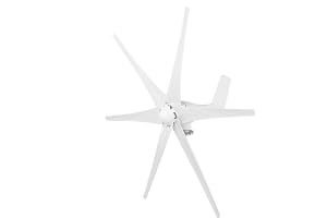 Wind Wind Generator Väderkvarn med 6 blad 12V 800W för hemmet (24V)