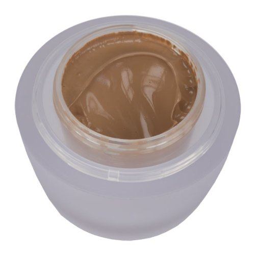 Elizabeth Arden Ceramide Lift and Firm Makeup Broad Spectrum Sunscreen SPF 15 113 Mocha