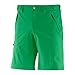 Produktbild Salomon Wayfarer Short M 54 Grün
