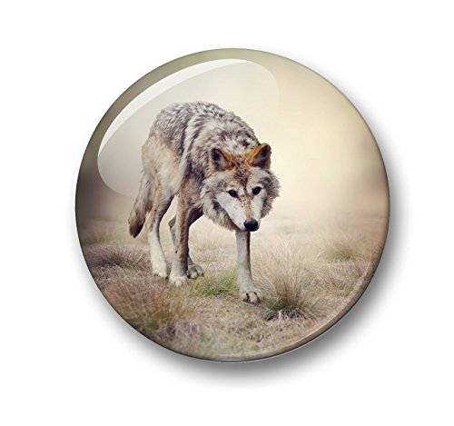 Wolf Wölfe Grauwolf europäischer Wolf – 6 große Kühlschrankmagnete Ø 5 cm [ 02 ] für Memoboard Pinnwand Magnettafel Whiteboard - 5