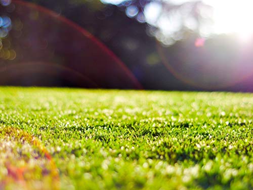 Preisvergleich Produktbild Lais Puzzle Brisbane Queensland Australien 1000 Teile