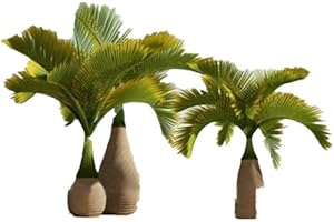 KINGDUO 20 Piezas Exóticas Botella Semillas Bonsai Tropical Ornamental Planta Semillas Jardín De Palmeras Plantación-Verde