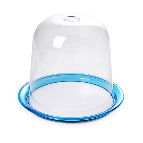 omadaDesign panettone door with transparent bell and tray with internal diameter 9.84 inch and 13 inch outside, Trendy Line