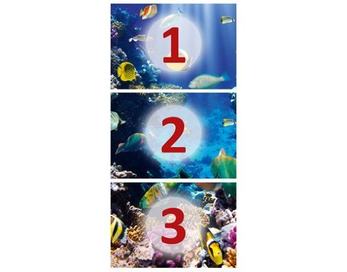 Fototapete Tür Papier No.51 ‚UNDERWATER PARADISE‘ 100x210cm Foto Tapeten , Größe:210cm x 100cm - 4