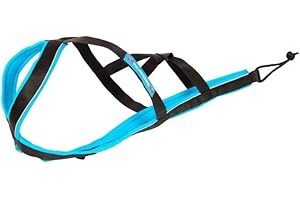 Harnais Polyvalent pour Chien Inlandsis Polar Quest X-Back – Léger, Ergonomique et Résistant – Canicross, Cani-VTT, Promenade et Randonnée (Chien>15kg)