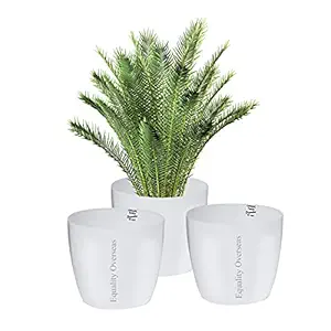 EQUALITY OVERSEAS 7 inch Plastic Planters Ceramic Finish Flower Plant Pots Modern Decorative Gardening Pot (White Pack of 3)