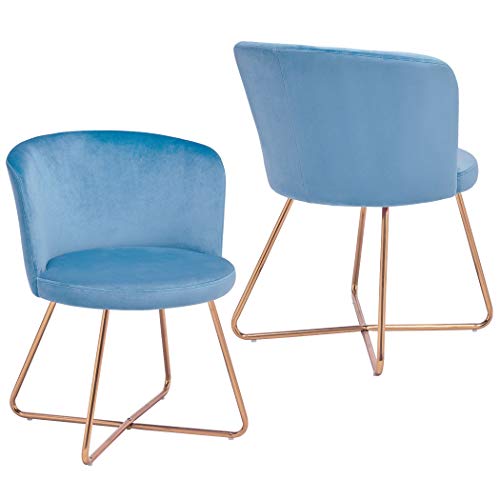Duhome 2X Sedia da Sala da Pranzo Blu Chiaro Azzurro Tessuto (Velluto) Sedia Imbottita Design Retro Vintage con Piedini in Metallo Sedia di Sala d'attesa conferenza Selezione Colore 8076X