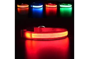 MASBRILL Light Up Dog Collar, LED Dog Collar Lights for the Dark, Rechargeable and Waterproof Flashing Dog Collars with 3 Glowing Modes, Adjustable Pet Collar for Small/Medium/Large Dog(Red M)