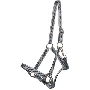 Kunststoffhalfter Streifenoptik, hellblau-braun Cob