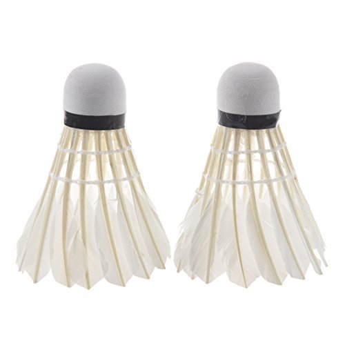 Preisvergleich Produktbild TOOGOO(R) LED Badminton Federball Licht