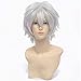 Price comparison product image hunter x hunter silvery white unisex short fluppy Full synthetic cap Cosplay wig