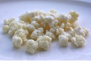 KOMBUCHAORGANIC Raw Organic Organic Milk Kefir Grains Tibetan Mushroom 30g