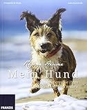 Image de Mein Hund - So fotografieren Sie Ihren Liebling mal ganz anders: Fotografie al dente