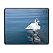 Produktbild Swans Side by Side Office, Spiel notwendig, Gute Partner Maus, Mauspad