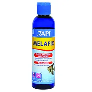API Melafix Treats Aquarium Bacterial Infection, 11 g