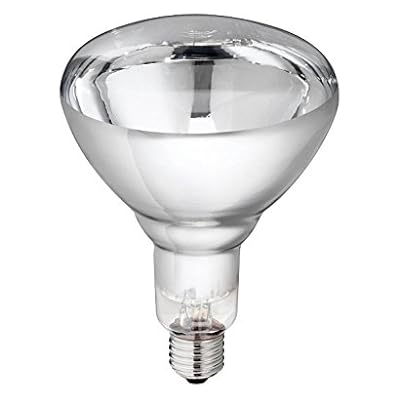 Hard Glas Infrared Lamps Philips, 250 W - transparent - A30512