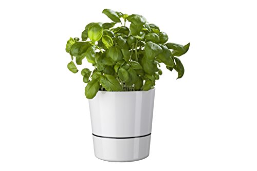 Rosti Mepal Hydro Kräutertopf, Groß, Weiß - 6