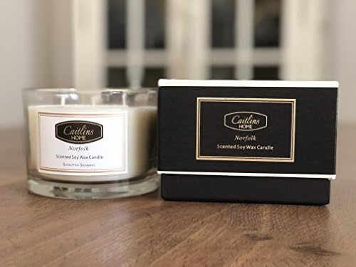 Aromatherapy Stress Relief 3 Wick Eucalyptus Scented Soy Wax Candle Caitlins Home