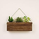  Maceta colgante de madera con acabado rústico para plantas suculentas y cactus. Tiesto de pared para interior