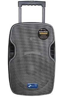 nx audio 15 inch speakers