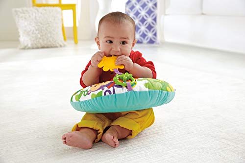 Imagen 7 de Fisher-Price Cojín de Actividades para bebé recién Nacido (Mattel CDR52)