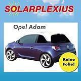 Sonnenblenden. Keine Folien, fertige, passgenaue Vorsatzscheiben