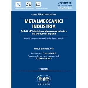 Metalmeccanici industria. Addetti all'industria metalmeccanica privata e alla gestion