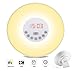 Produktbild SXWY Wake-up Lights Sonnenaufgang Wecker, Wecker, 7-Farben-Sonnenaufgang Simulation, Snooze-Funktion, Sunset Simulator Nachtlicht, Multi-Light-Modus, Schlafzimmer Touch Control (Upgrade)