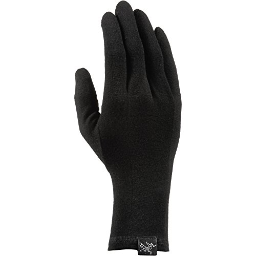 Preisvergleich Produktbild Arcteryx Herren Kletterhandschuhe schwarz L